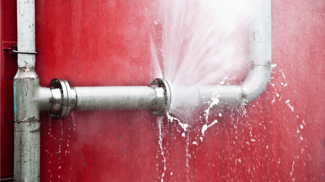 Professional plumber