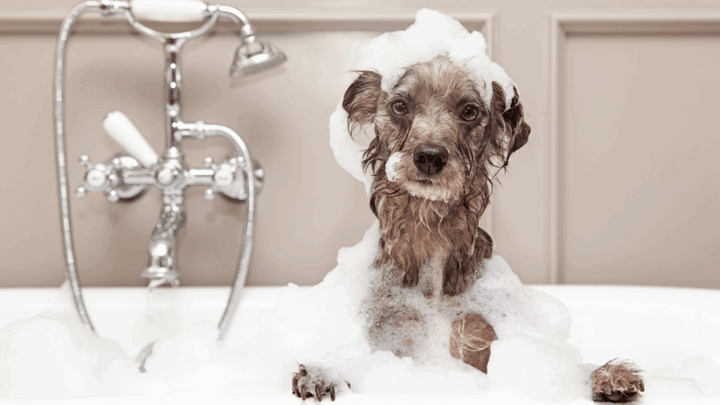hot water specialist